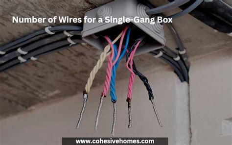 number of conductors per junction box|how many wires into box.